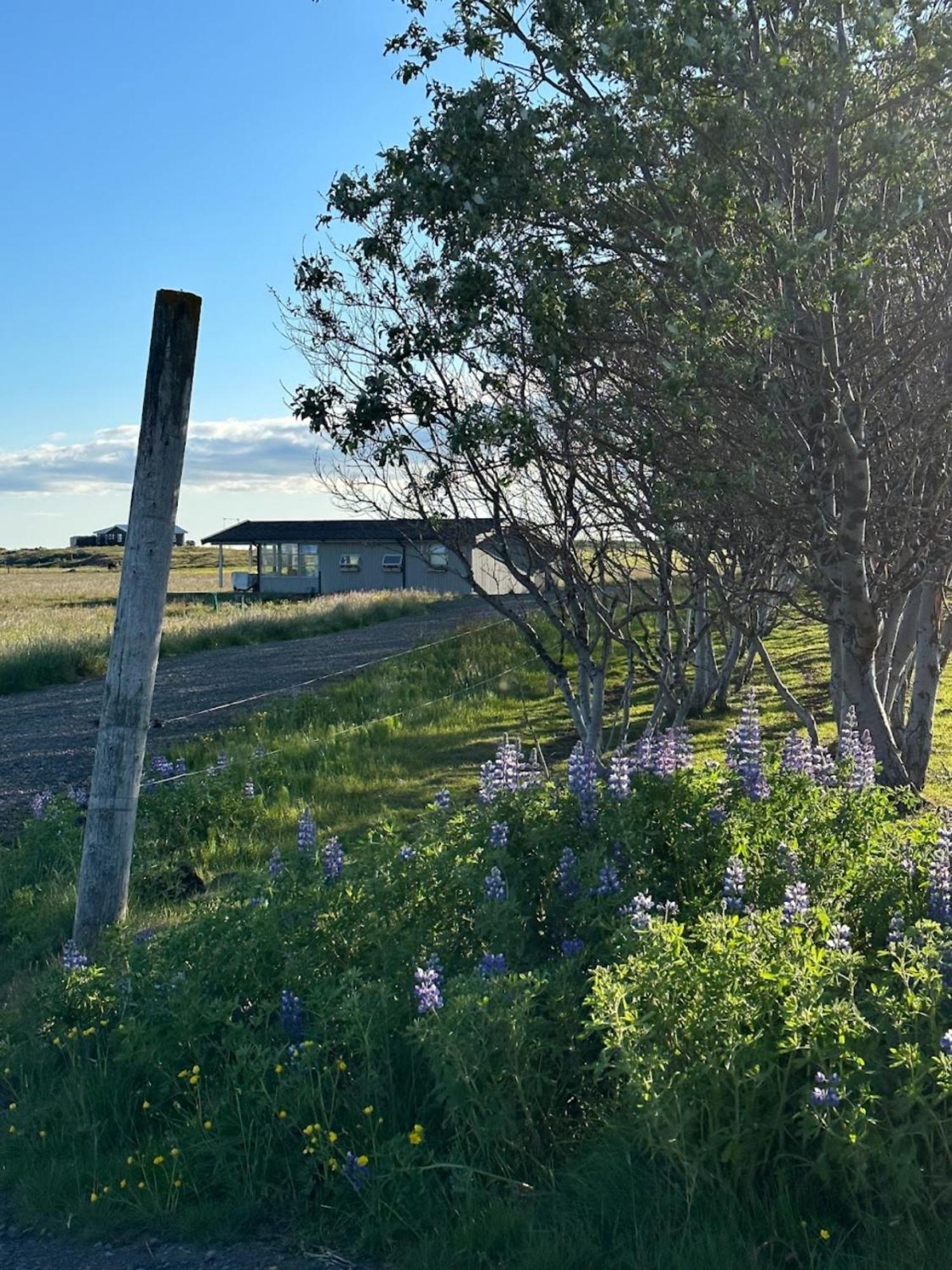 Hestaland Horse Farm Borgarnes